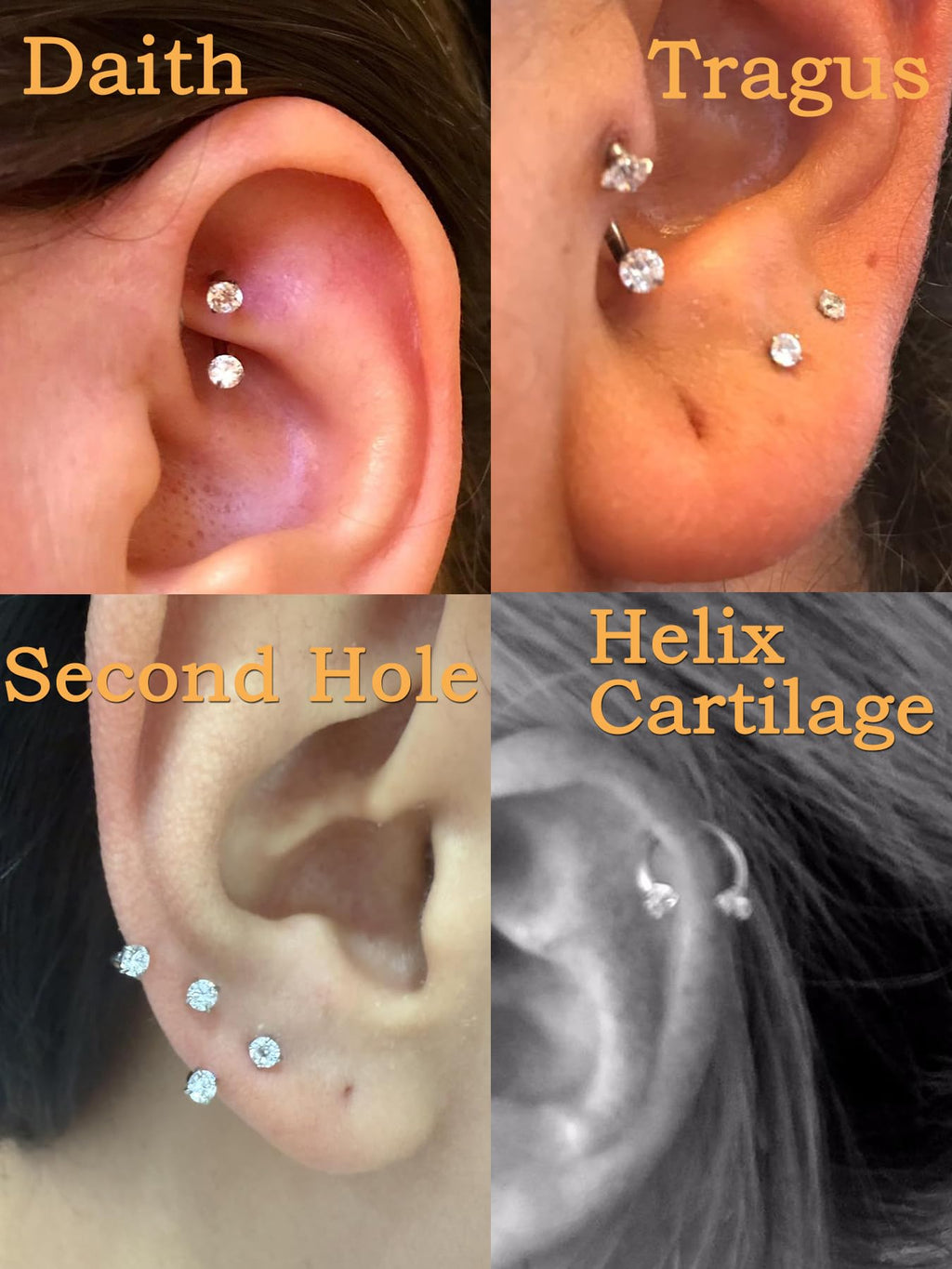 D.bella 20g 18g 16g Horseshoe Nose Ring Piercing Jewelry